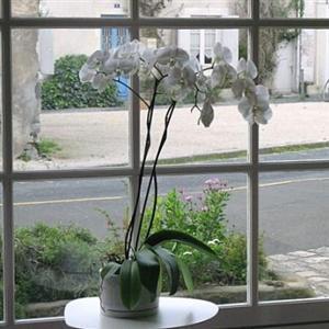 Hotel Le Saint-nicolas 4*